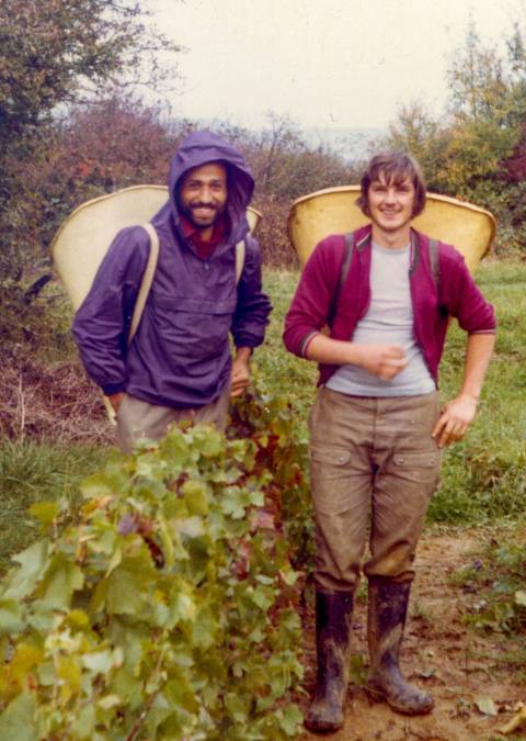 Michel lafouge vendanges