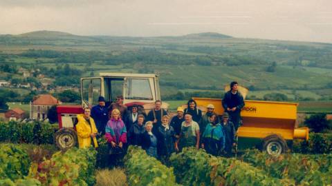 Vendanges annees 90
